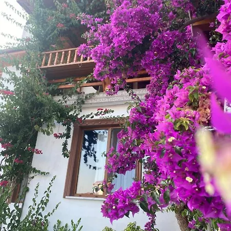 Villa Tomsan Akyaka Akyaka (Mugla)